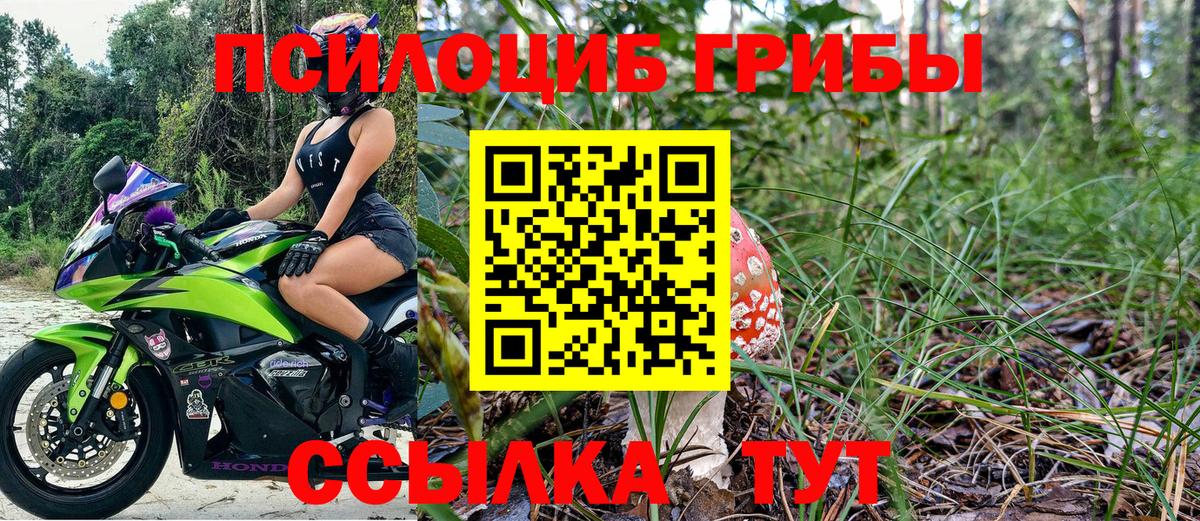 Псилоцибиновые грибы Psilocybine cubensis  Вход с VPN  Нижнеудинск 